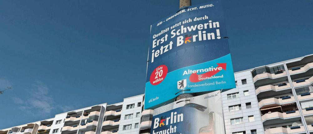 Die AfD Marzahn-Hellersdorf hat die Nominierung ihres Kandidaten für den Stadtratsposten öffentlich gemacht.