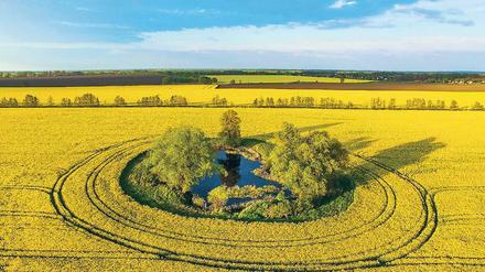 Im Einklang mit der Natur. Die moderne Landwirtschaft muss hohe Erträge bringen und Rückzugsorte für Tiere und Pflanzen erhalten. 