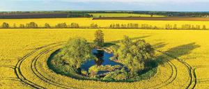 Im Einklang mit der Natur. Die moderne Landwirtschaft muss hohe Erträge bringen und Rückzugsorte für Tiere und Pflanzen erhalten. 