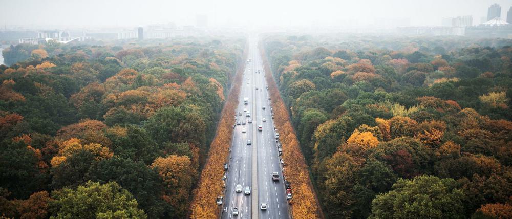 Bunt sind schon die Wälder. Und der Tiergarten auch. Blick von der Siegessäule.