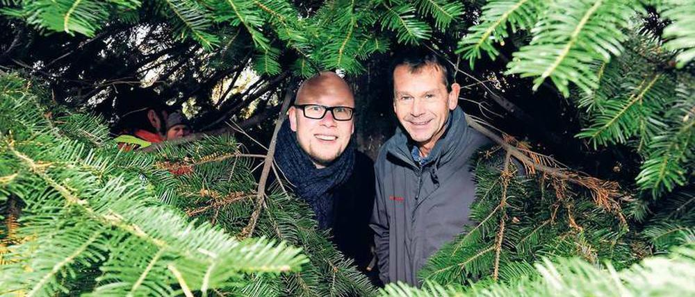 Big Spender. Carsten Starick (rechts) spendierte seine 39 Jahre alte Douglasie, die zur Geburt von Cousin Dirk Brehmer gepflanzt wurde. Jetzt ließen sie den Baum aus Mahlsdorf zum Breitscheidplatz ziehen, wo er am Mittwoch aufgestellt wird.