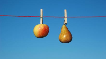 Birnen seien "süßherbe Naturen", schreibt der Autor, die "ihren Kopf gelassen an die Erde lehnen". Und Äpfel? Igitt!