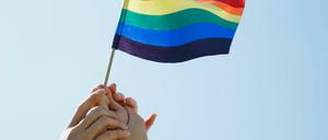 LGBTIQ-Netzwerke gelten heute als Vorbilder im Rahmen von Diversity Management.