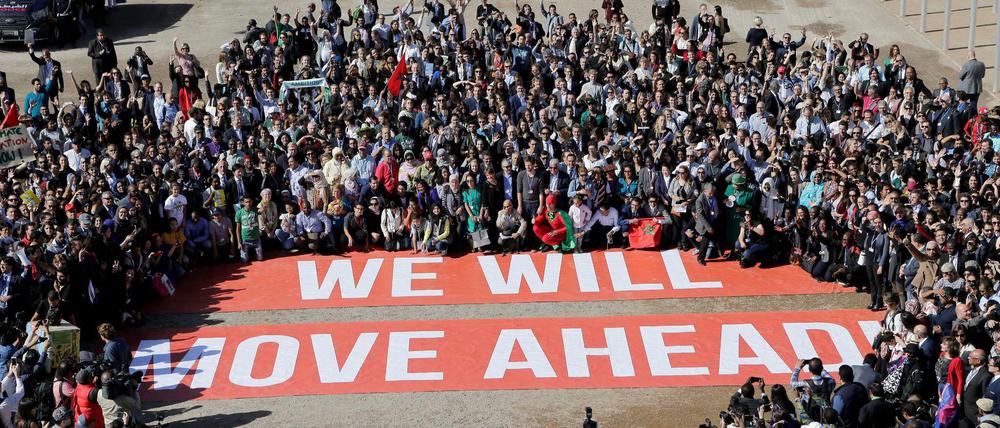 Delegierte und Umweltverbände haben beim Welt-Klimagipfel COP22 in Marrakesch klargemacht, dass sie Trump hin oder her am Klimaschutz festhalten werden.