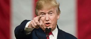 Ausgewiesen werden sollten „Kriminelle, Bandenmitglieder, Drogendealer“, sagte Donald Trump.