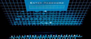 Einfallstor. Über das Internet können Kriminelle oft allzu leicht in Computernetzwerke eindringen und schädliche Software platzieren – mit verheerenden Folgen. 