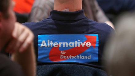 „Die AfD muss Kandidaten aufstellen, die tauglich sind. Das ist bei Hebold nicht der Fall“