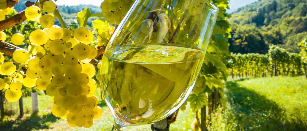 Biologischer Anbau, wenig Technik: Der Naturwein gilt als der letzte Schrei auf Messen und in Bars. Unserem Autor mundete er nicht.