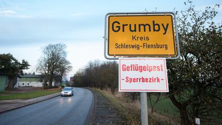 Wie der Erreger in den Bestand in Grumby gelangen konnte, blieb zunächst unklar. 