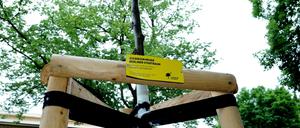 Rund 6500 Straßenbäume sind seit 2012 dank Spenden in Berlin nachgepflanzt worden.