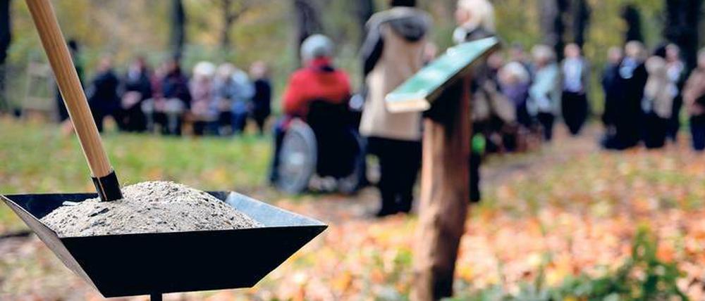 Alternative zum klassischen Friedhof. In einigen Städten wie hier in Berlin können Urnen auch in Friedwäldern unter Bäumen beigesetzt werden. 