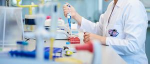 Das Landeslabor wird am Montag Blut der toten Schwäne und Vögel aus Kreuzberg untersuchen. (Symbolbild)