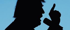 Wird bald die USA verändern: Donald Trump.