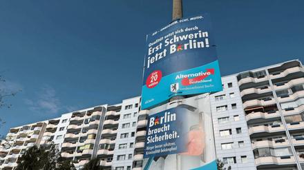 Elsholtz habe eine "inhaltliche Affinität" zur AfD und wolle eine "junge Partei im Aufbruch" begleiten. 
