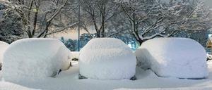 Anfang November brach der Winter über Stockholm und Umgebung herein.