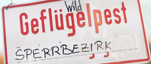Skandal im Sperrbezirk. Wie hier in Friedrichshain warnen die Behörden seit dem Wochenende vor der Ausbreitung der Vogelgrippe. 