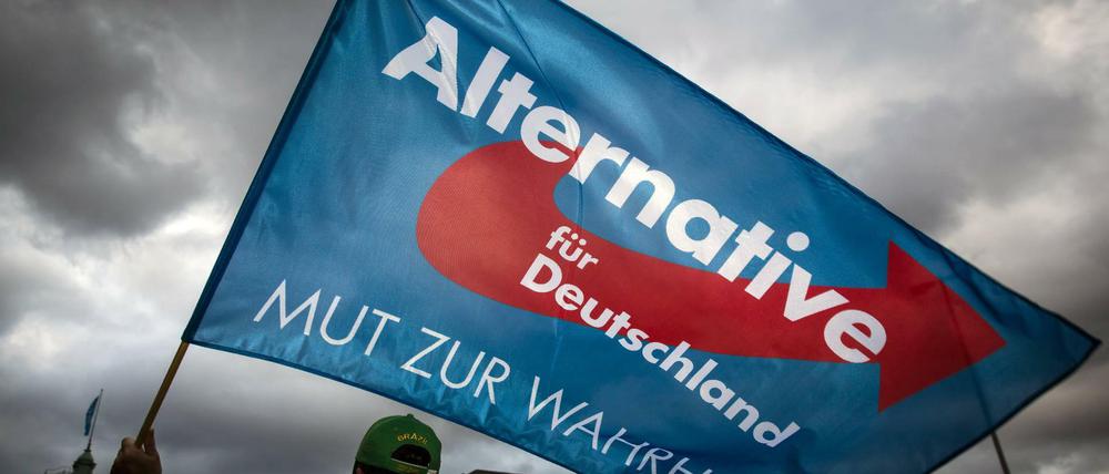 Ein Teilnehmer einer Demonstration der Partei AfD schwenkt eine Fahne - Kundgebung der Partei Alternative für Deutschland (AfD) am Hamburger Hauptbahnhof. - 19.11.2016  