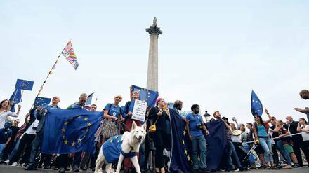Im Widerstand. An den Unis wünschen sich viele, den Brexit aufhalten zu können (hier eine Pro-EU-Demo vor einigen Wochen).