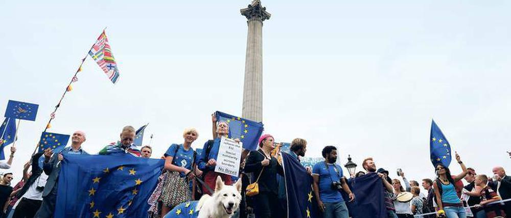 Im Widerstand. An den Unis wünschen sich viele, den Brexit aufhalten zu können (hier eine Pro-EU-Demo vor einigen Wochen).