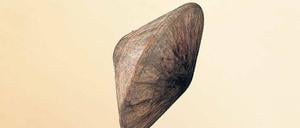 Im Anflug. Der Lander „Schiaparelli“ mit Hitzeschild. 