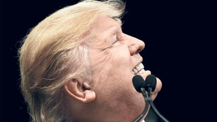 Zweifel am Wahlergebnis: Der designierte US-Präsident Donald Trump 