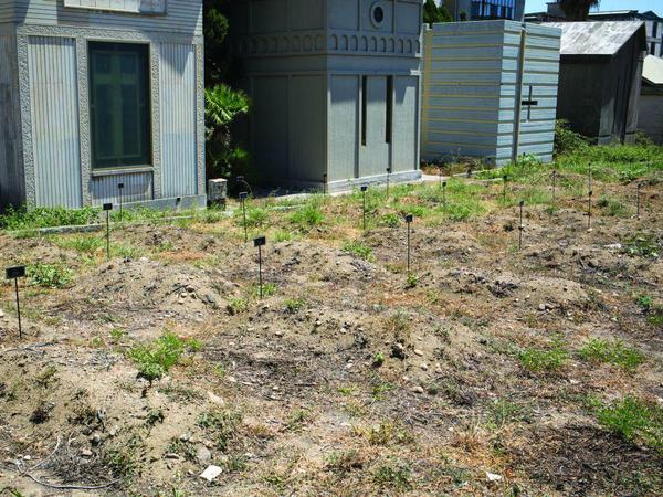 Auf dem Friedhof von Catania kennzeichnen nummerierte Metallschilder die Flüchtlingsgräber.
