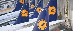 Lufthansa-Maschinen parken am Flughafen von Frankfurt am Main (Hessen) am Rande des Vorfeldes. 