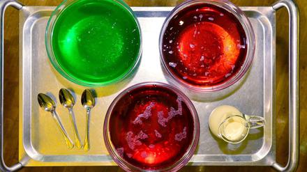 Kunterbunt wie Pudding: Rot-Rot-Grün in Berlin