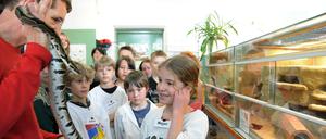 Kinder stehen vor einem Terrarium und schauen auf eine getigerte Schlange, die eine Lehrkraft in den Länden hält.