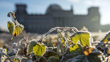 Gezuckerte Stadt. Was auf den ersten Blick wie Schnee aussieht, ist manchmal gar keiner.