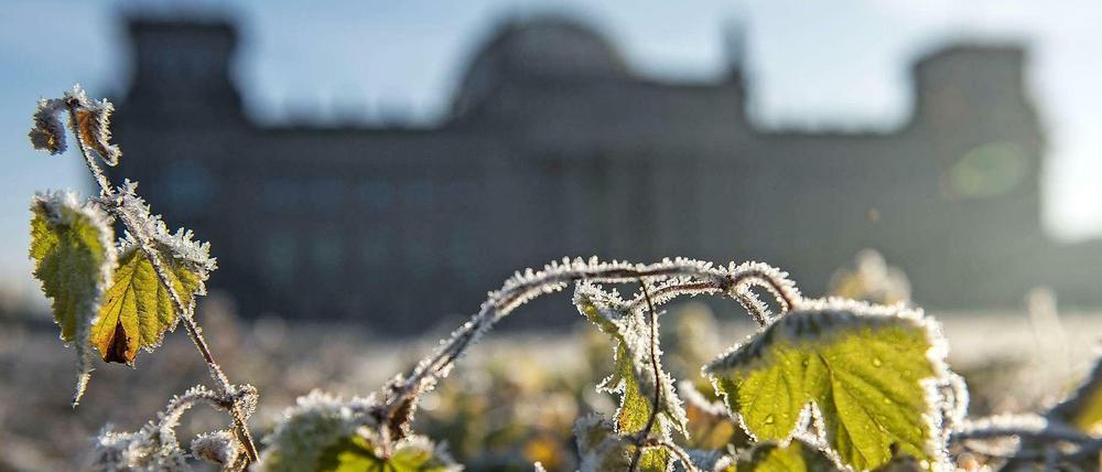 Gezuckerte Stadt. Was auf den ersten Blick wie Schnee aussieht, ist manchmal gar keiner.