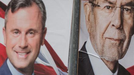 Wer wird Staatsoberhaupt in Österreich? FPÖ-Kandidat Norbert Hofer (links) oder Alexander von der Bellen? 
