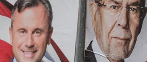 Wer wird Staatsoberhaupt in Österreich? FPÖ-Kandidat Norbert Hofer (links) oder Alexander von der Bellen? 