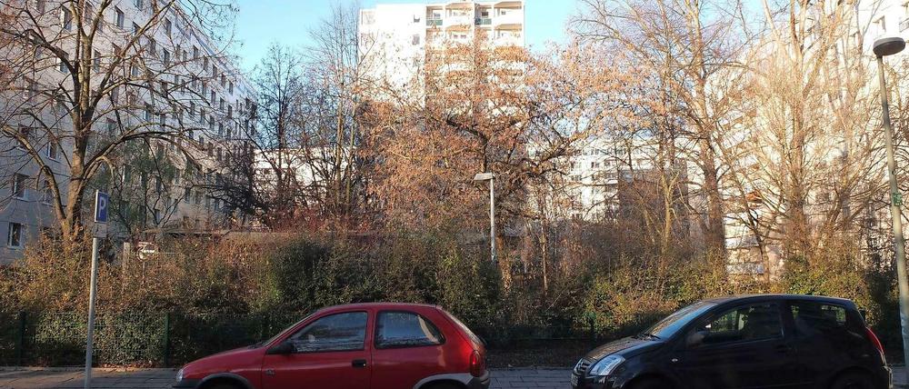 Auf diesem Grundstück in der Krautstraße unweit vom Strausberger Platz will die landeseigene WBM einen Wohnturm errichten, auf dem Nachbargrundstück soll ein weiteres Hochhaus entstehen.