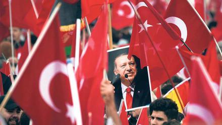 Sein Plan. Mit der neuen Verfassung könnte Erdogan bis 2029 als Präsident mit weitreichenden Vollmachten regieren. 