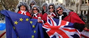 EU-Anhänger demonstrieren vor dem Obersten Gericht. 