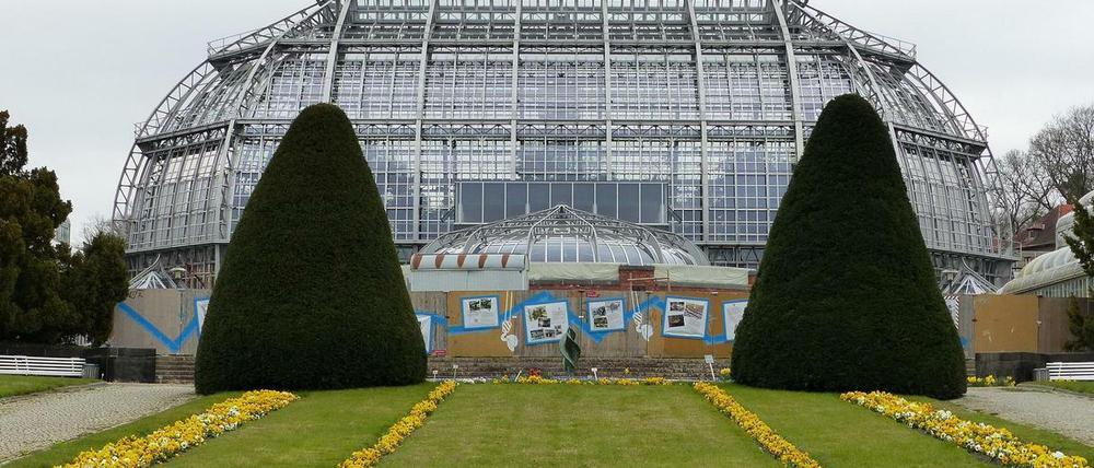 Seit mehr als einem Jahr verzögert: Die Wiedereröffnung des Victoriahauses im Botanischen Garten 