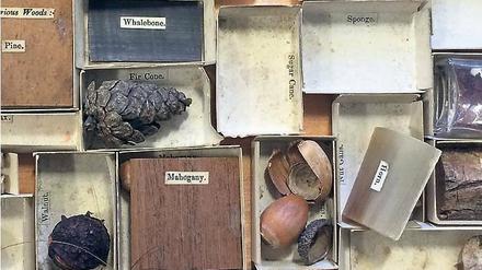Object Lesson Box