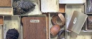 Object Lesson Box