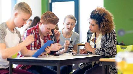Der Naturwissenschaftsunterricht biete immer noch zu wenige Schülexperimente, moniert die neue Pisa-Studie,