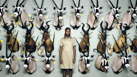 Trophäen und Domestiken. Ein Seidl’sches Tableau vivant von einer der Jagd-Urlaubsfarmen in Afrika.