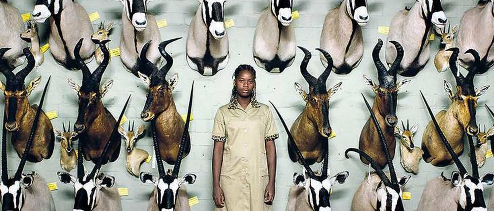 Trophäen und Domestiken. Ein Seidl’sches Tableau vivant von einer der Jagd-Urlaubsfarmen in Afrika.
