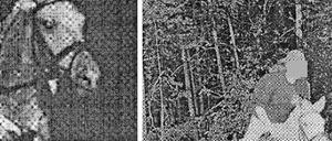  Tierisch schnell. Ross und Reiter, geblitzt im Rausch der Geschwindigkeit.