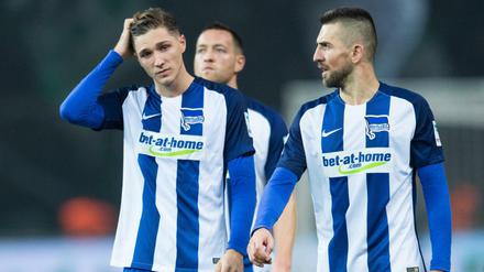 Alter, was war das denn? Ibisevic (r.) und Stark scheinen nach der Niederlage erst einmal fassungslos.