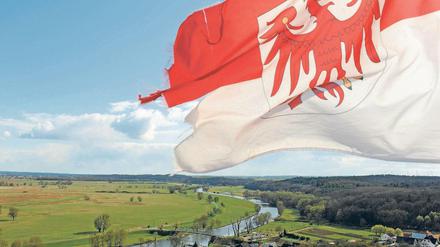 Aus 14 Brandenburger Landkreisen sollen jetzt 9 werden. Nicht alle finden das gut. 