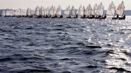 Opti-Segler auf dem Großen Müggelsee.