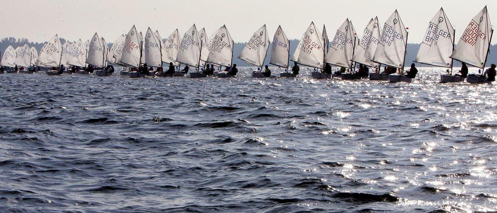 Opti-Segler auf dem Großen Müggelsee.