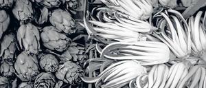 Grüne Stille. Auf einem Markt in Venedig fotografierte Sandberg 2013 das Stillleben aus Radicchio und Artischocken.