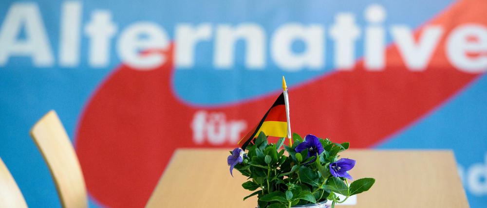 Am Katzentisch? Die Alternative für Deutschland.