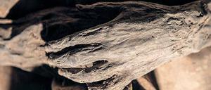 Virusspuren. In einer litauischen Kindermumie fanden Forscher den Erreger der Pocken.